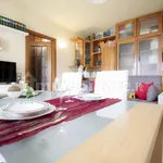 Rent 2 bedroom apartment of 70 m² in Pisa