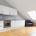 Rent 1 bedroom apartment of 41 m² in Oslo