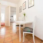 Rent 5 bedroom apartment in Valencia