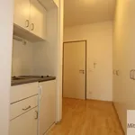 Rent 1 bedroom apartment of 30 m² in Nuremberg