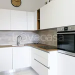 Rent 2 bedroom apartment of 45 m² in Monza