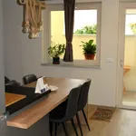 Rent 2 bedroom house of 45 m² in Carrara