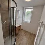 Pronájem bytu 2+1 52m²