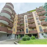 Rent 2 bedroom apartment of 85 m² in Milano