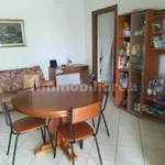 Rent 4 bedroom apartment of 100 m² in Chieti