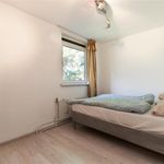 Rent 2 bedroom apartment in Amsterdam