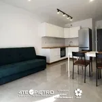 Rent 3 bedroom apartment of 50 m² in Lublin