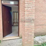 Rent 1 bedroom apartment of 50 m² in ferrara