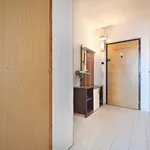 Rent 2 bedroom apartment of 44 m² in Kolín