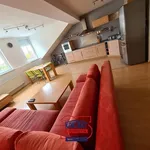 Rent 2 bedroom apartment of 69 m² in České Budějovice