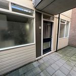 Rent 2 bedroom house of 40 m² in Welgelegen