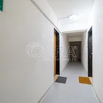 Rent 2 bedroom apartment in Kralupy nad Vltavou