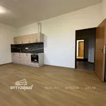 Pronajměte si 3 ložnic/e byt o rozloze 66 m² v Strašice