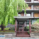 Rent 2 bedroom apartment of 50 m² in Turin