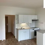 Rent 2 bedroom apartment of 35 m² in Plzeň