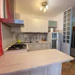 Rent 2 bedroom apartment of 55 m² in Roma