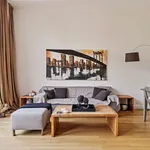 Rent 2 bedroom apartment of 70 m² in Den Haag