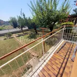 Rent 1 bedroom apartment of 85 m² in Piacenza