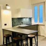 Rent 3 bedroom apartment of 60 m² in Turin