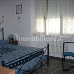 Rent 3 bedroom apartment of 60 m² in Pisa