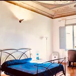 Rent 1 bedroom apartment in Florence