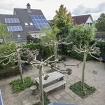 Rent 3 bedroom house of 204 m² in het-gooi