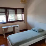 Alugar 4 quarto apartamento em Porto