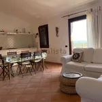 Rent 2 bedroom apartment of 50 m² in Santa Teresa Gallura