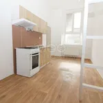 Pronajměte si 1 ložnic/e byt o rozloze 23 m² v Česká Lípa