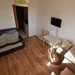 Rent 1 bedroom apartment of 15 m² in Timișoara