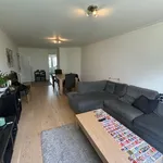 Rent 1 bedroom apartment in Leuven