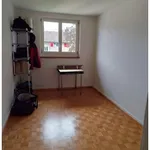 Miete 3 Schlafzimmer wohnung in Zurich