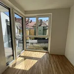 Rent 2 bedroom apartment of 56 m² in Graz