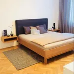 Rent 2 bedroom apartment in Brno