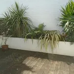 Terraced house to rent in Newtown Road, Hove BN3