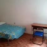 Alquilar 5 dormitorio apartamento en Alicante