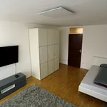 Rent 1 bedroom apartment of 34 m² in München