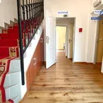 Rent 4 bedroom apartment of 110 m² in Plzeň