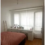 Rent 3 bedroom apartment in Geneva