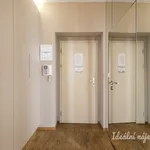 Pronajměte si 2 ložnic/e byt o rozloze 54 m² v Capital City of Prague