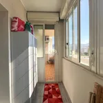 Rent 3 bedroom apartment of 123 m² in Palermo