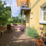 Rent 1 bedroom apartment of 58 m² in Dresden