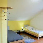 Miete 1 Schlafzimmer haus von 24 m² in Cologne