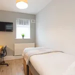 Rent a room in dublin