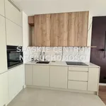 Rent 2 bedroom apartment of 43 m² in Katowice