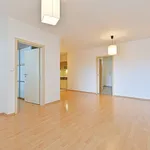 Rent 3 bedroom apartment in Brno