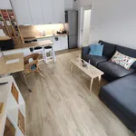 Studio of 45 m² in Prague