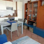 Rent 2 bedroom apartment of 70 m² in Piacenza