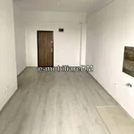 Rent 2 bedroom apartment in Ciurea