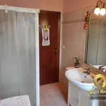 Rent 1 bedroom apartment of 15 m² in vicenza